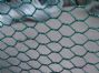 pvc coated wire rabbit netting